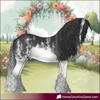 Horse Color:White Spotted Black Splash