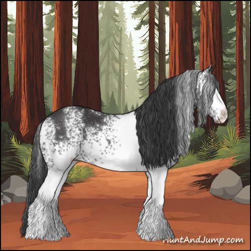 Horse Color:White Spotted Black