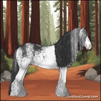 Horse Color:White Spotted Black 