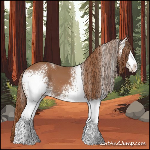 Horse Color:White Spotted Chestnut