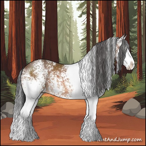 Horse Color:White Spotted Bay Splash 