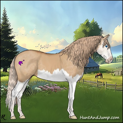 Horse Color:Red Dun Splash