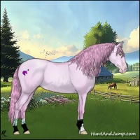 Horse Color:Watercolor Bay Pearl Dun 