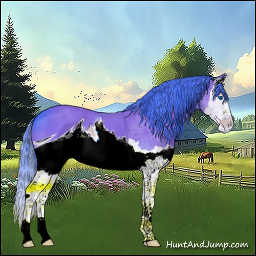 Horse Color:ERROR: UNKNOWN ANOMALY