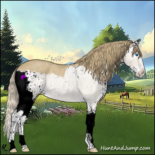 Horse Color:Watercolor Chestnut Splash 