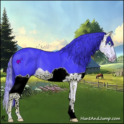 Horse Color:Watercolor Black Splash