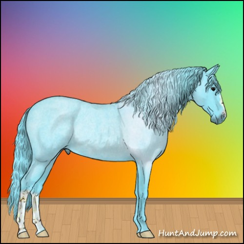 Horse Color:Watercolor Blue Roan Rabicano 