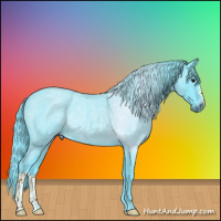 Horse Color:Watercolor Blue Roan Rabicano 