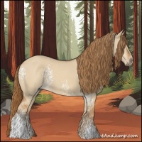 Horse Color:White Spotted Red Dun