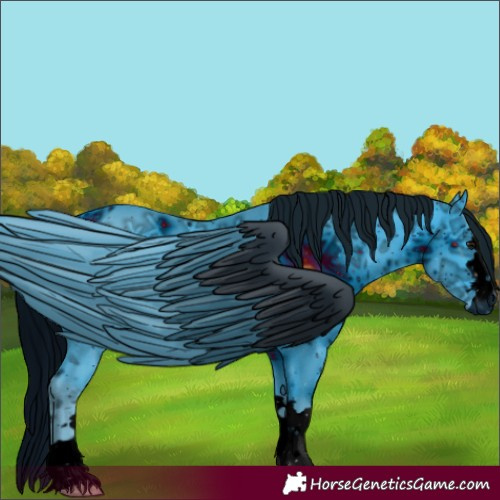 Horse Color:ERROR: UNKNOWN ANOMALY