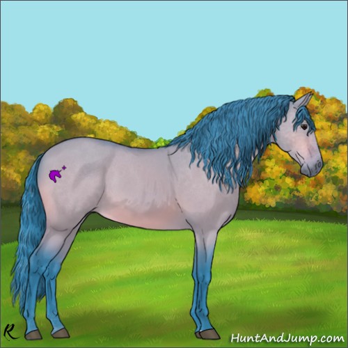 Horse Color:Watercolor Bay Dun Sabino 