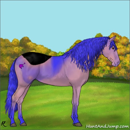 Horse Color:ERROR: UNKNOWN ANOMALY