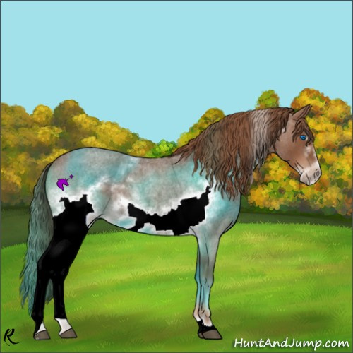 Horse Color:White Spotted Red Roan Frame