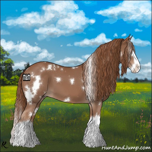 Horse Color:White Spotted Chestnut Splash 