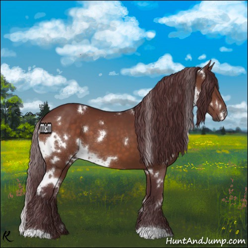 Horse Color:White Spotted Chocolate Bay 