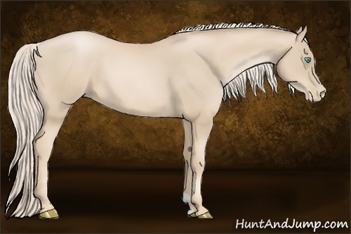 Horse Color:Palomino Pearl 