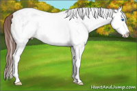 Horse Color:White Spotted Chestnut Splash Varnish 