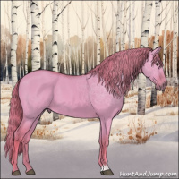 Horse Color:Watercolor Red Dun 