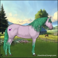 Horse Color:Watercolor Bay Roan Dun