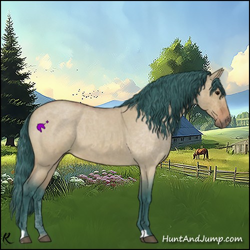 Horse Color:Watercolor Bay Roan Dun