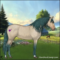 Horse Color:Watercolor Bay Roan Dun 