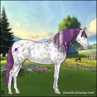 Horse Color:Watercolor Amber Champagne Dun Tobiano Appaloosa