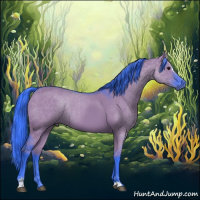 Horse Color:Watercolor Grullo Sabino