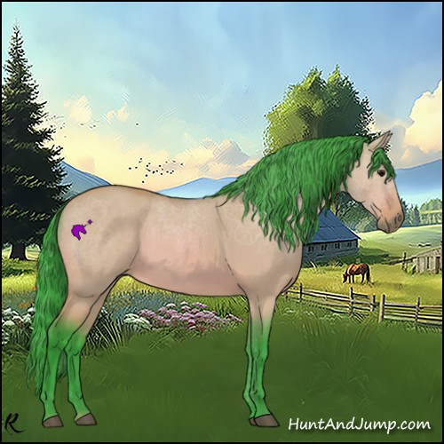 Horse Color:Watercolor Bay Dun 