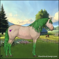 Horse Color:Watercolor Bay Dun 