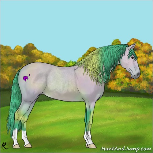 Horse Color:Watercolor Buckskin 