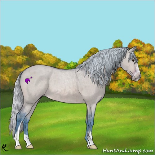 Horse Color:Watercolor Silver Bay Roan Dun Sabino 
