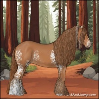 Horse Color:White Spotted Chestnut Rabicano 