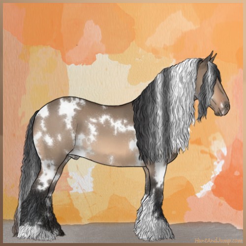 Horse Color:White Spotted Bay Dun