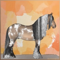 Horse Color:White Spotted Bay Dun 