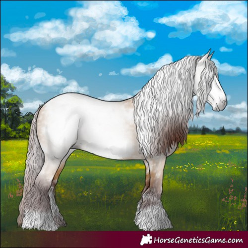 Horse Color:Gray White Spotted Chocolate Buckskin Frame 