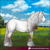 Horse Color:Gray White Spotted Chocolate Buckskin Frame