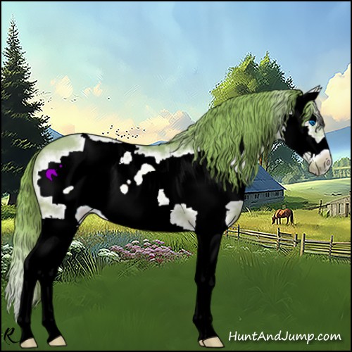 Horse Color:Watercolor White Spotted Red Dun Splash Frame Rabicano