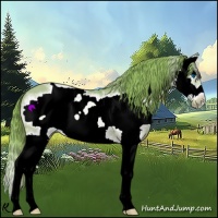 Horse Color:Watercolor White Spotted Red Dun Splash Frame Rabicano 