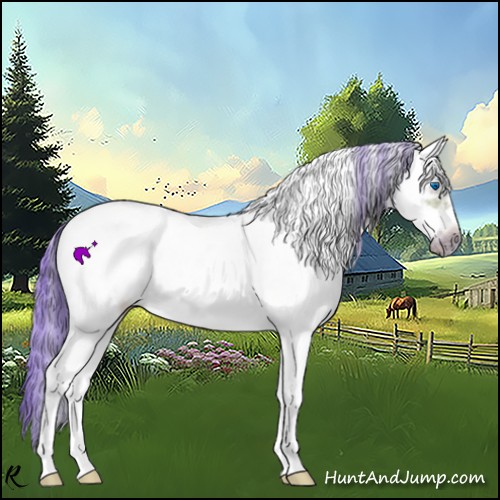 Horse Color:Watercolor White Spotted Bay Dun Splash Frame Rabicano 