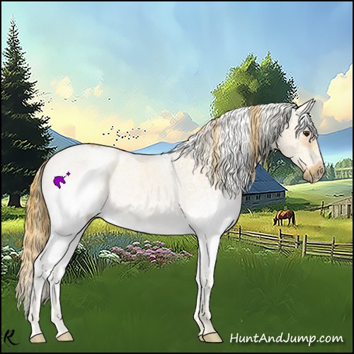 Horse Color:Watercolor White Spotted Red Dun Splash Frame Rabicano 