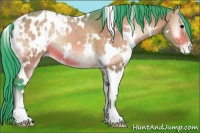 Horse Color:Watercolor White Spotted Bay Onyx Appaloosa 