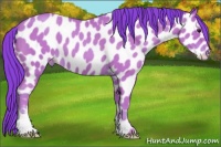 Horse Color:Watercolor Classic Champagne Roan Near Leopard 