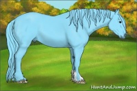 Horse Color:Watercolor Black 