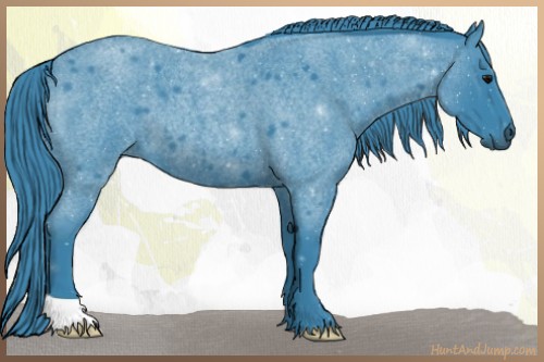Horse Color:Watercolor Blue Roan 
