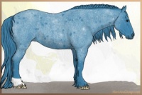 Horse Color:Watercolor Blue Roan 