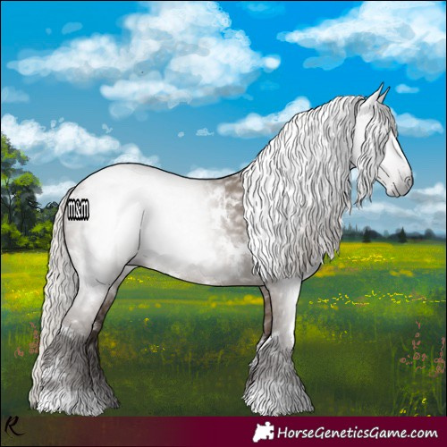 Horse Color:Gray White Spotted Silver Grullo 