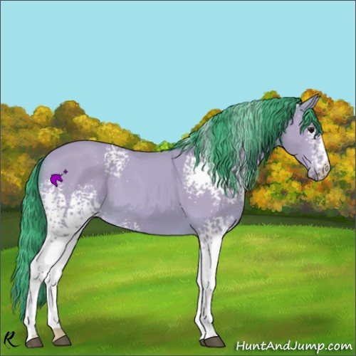 Horse Color:Watercolor White Spotted Buckskin 
