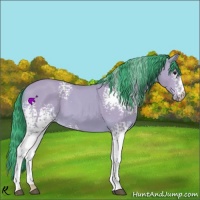 Horse Color:Watercolor White Spotted Buckskin 