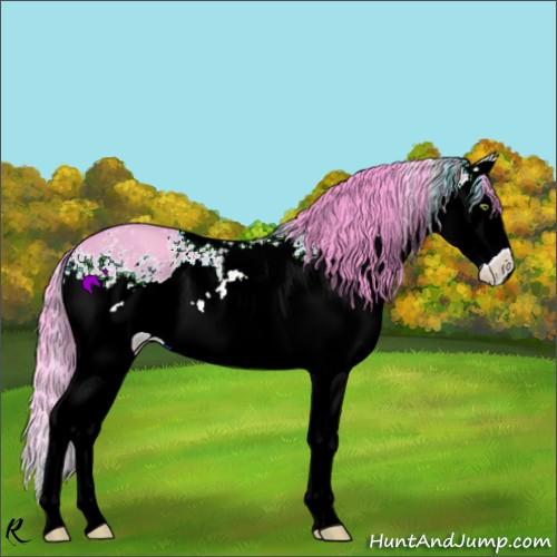 Horse Color:Watercolor White Spotted Amber Champagne Dun Splash 