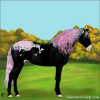 Horse Color:Watercolor White Spotted Amber Champagne Dun Splash 